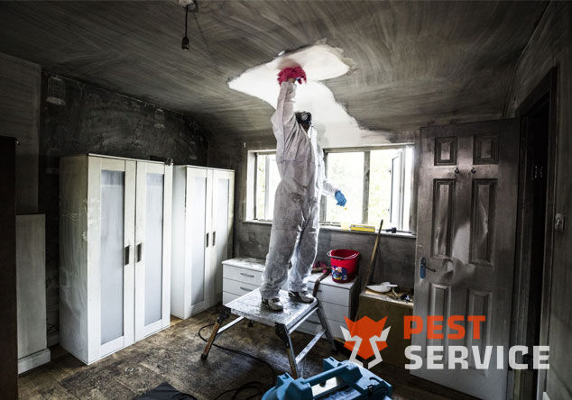 Профессиональная уборка помещений после пожара в Вологде от 2500 руб: удаление сажи, копоти и запаха гари, глубокая очистка поверхностей и восстановление чистоты. Быстро, безопасно и эффективно.